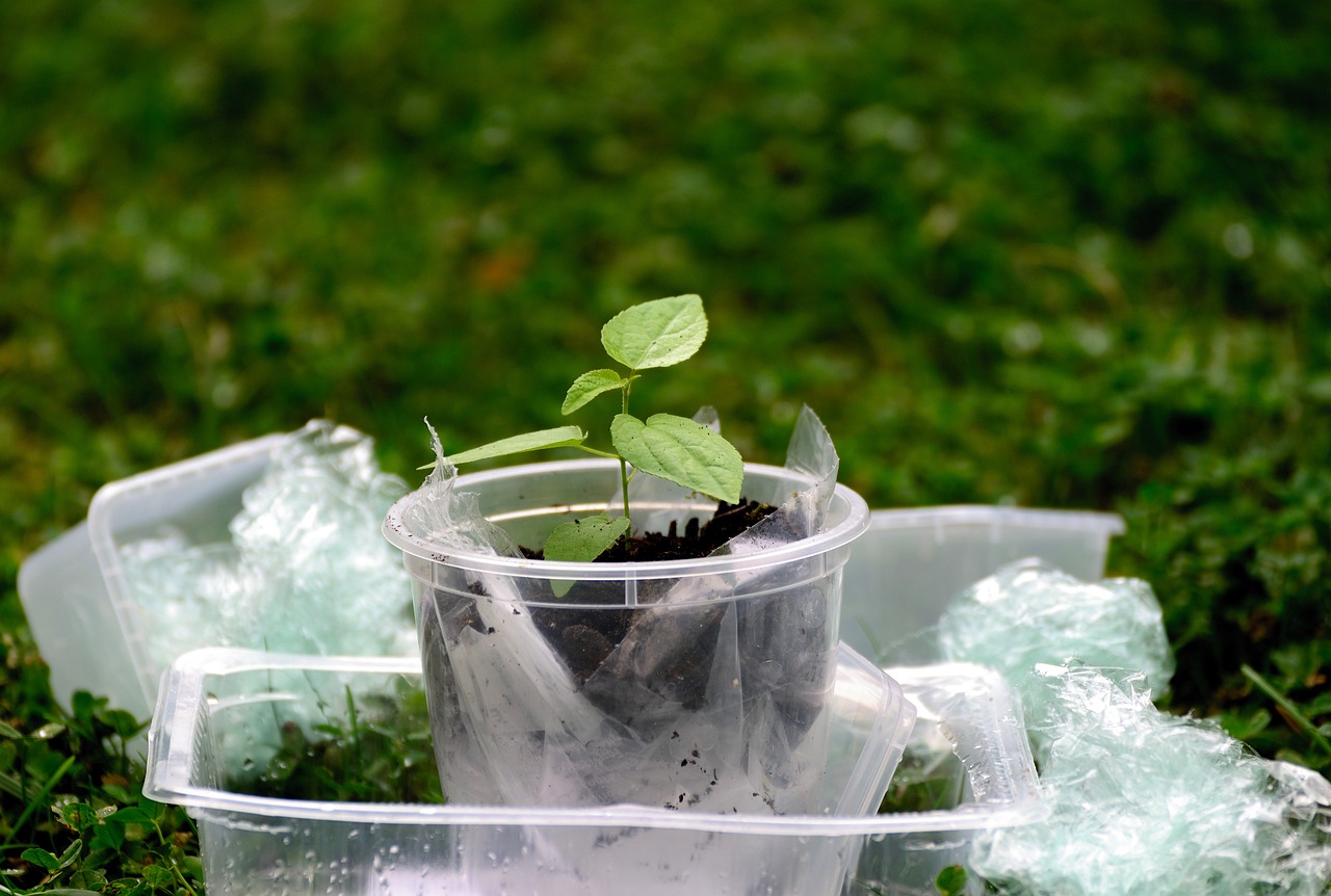 plastic, plastic waste, environment